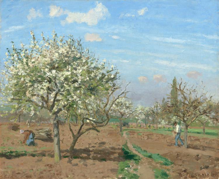 Camille Pissarro Orchard in  Bloom,Louveciennes (nn02) Spain oil painting art